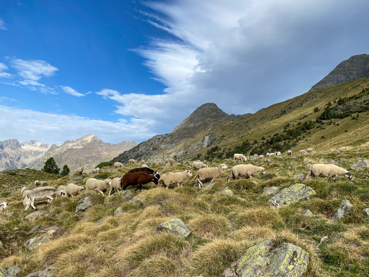 Mountain hiking in the valley of Benasque